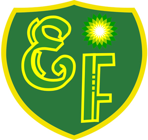 logo-salmysur